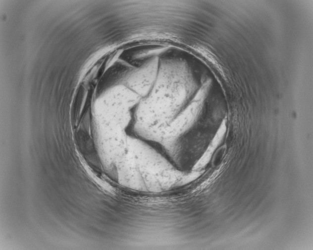 X0000059801030200511111556