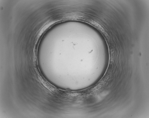 X0000059801031200511111556