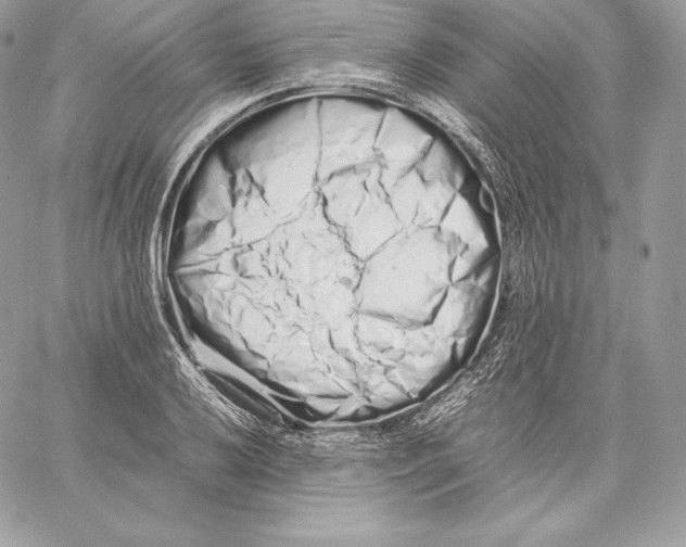 X0000059801032200511111556