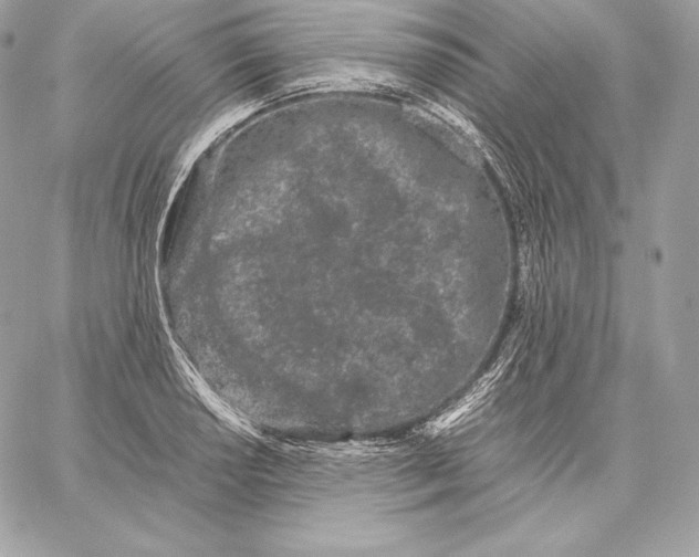 X0000059801034200511111556