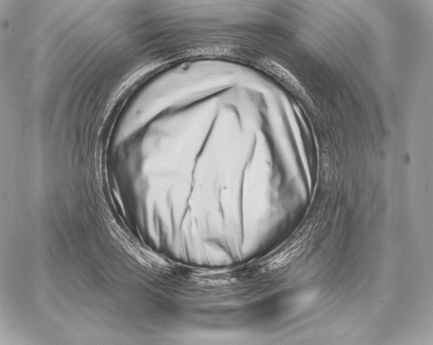 X0000059801035200511111556