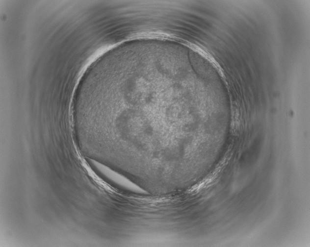 X0000059801037200511111556