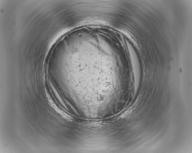 X0000059801038200511111556