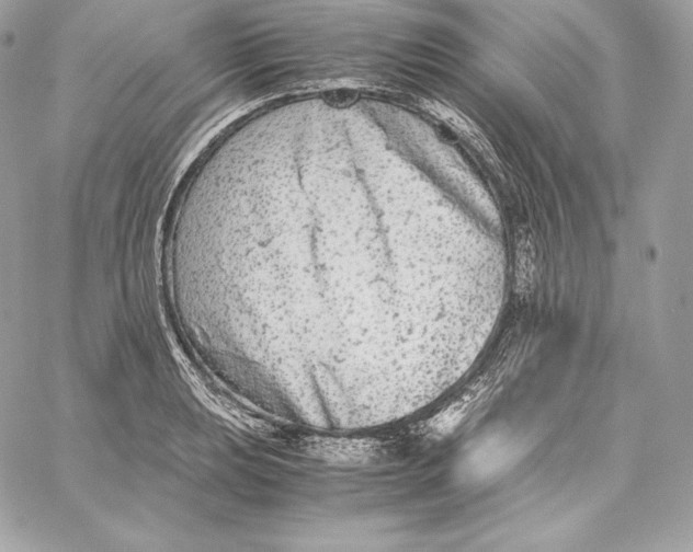 X0000059801039200511111556