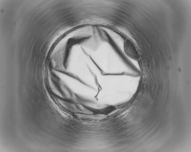 X0000059801040200511111556