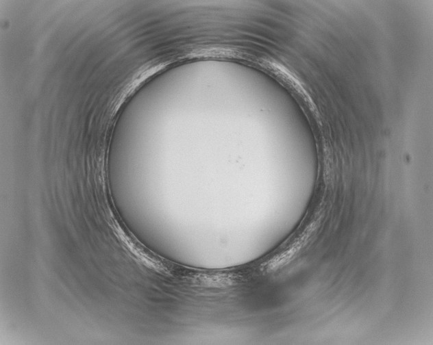 X0000059801041200511111556