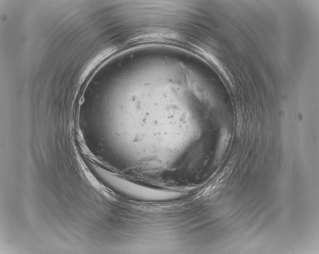 X0000059801042200511111556