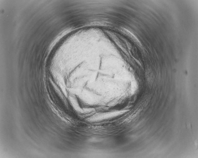 X0000059801043200511111556