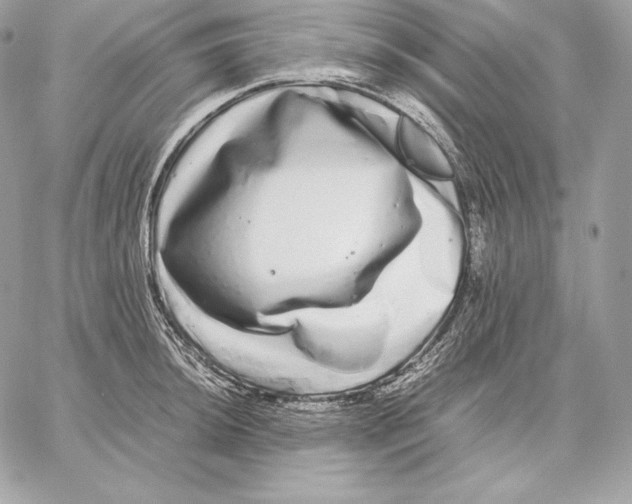 X0000059801044200511111556