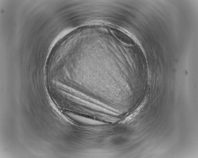 X0000059801045200511111556