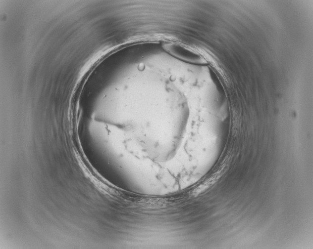 X0000059801046200511111556