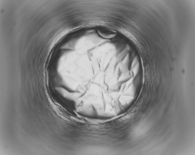 X0000059801047200511111556