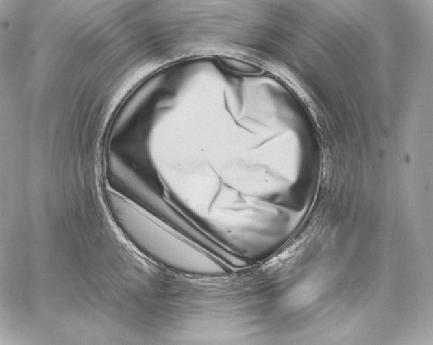 X0000059801048200511111556