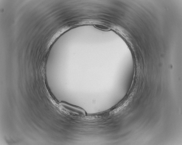 X0000059801049200511111556