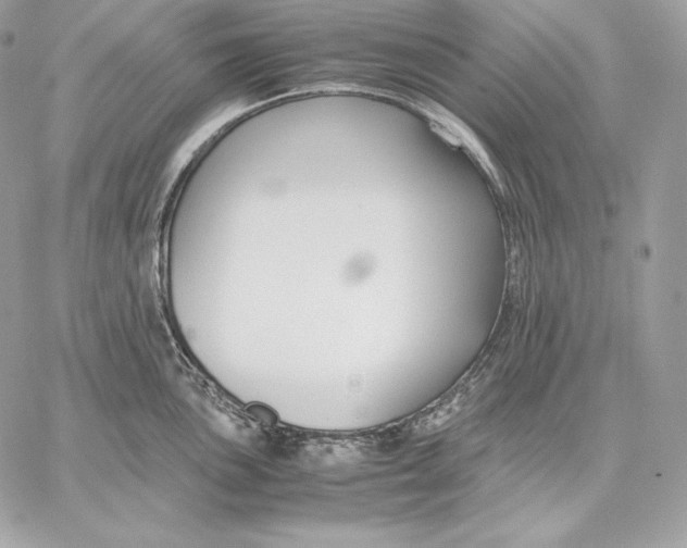 X0000059801051200511111556