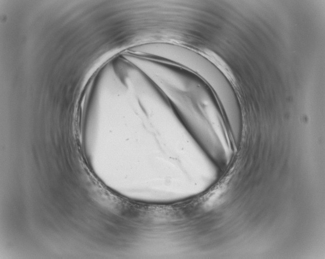 X0000059801052200511111556