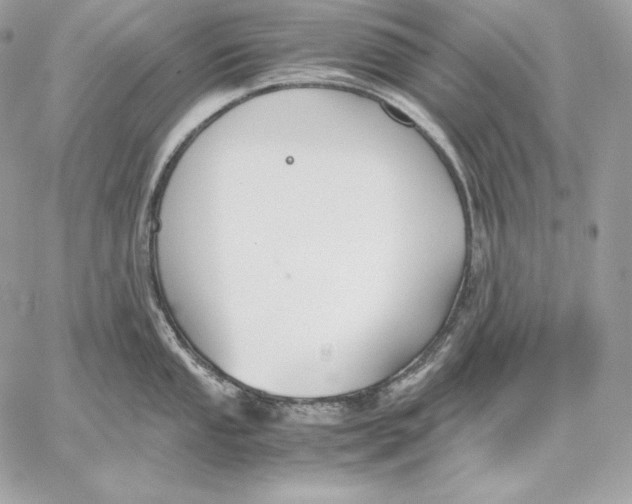 X0000059801053200511111556