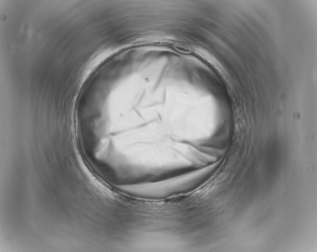 X0000059801055200511111556