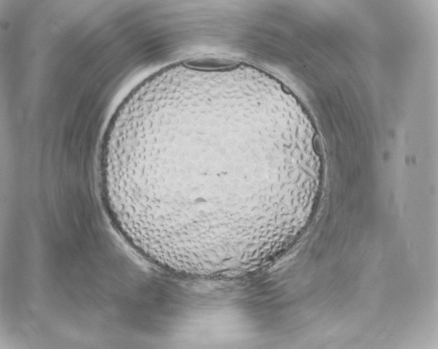 X0000059801056200511111556