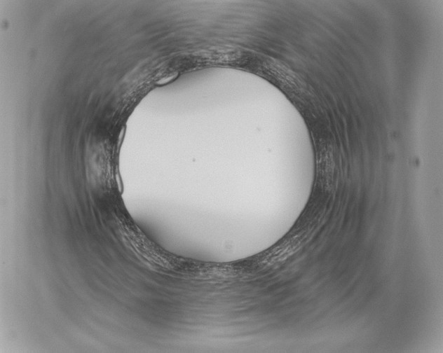 X0000059801058200511111555