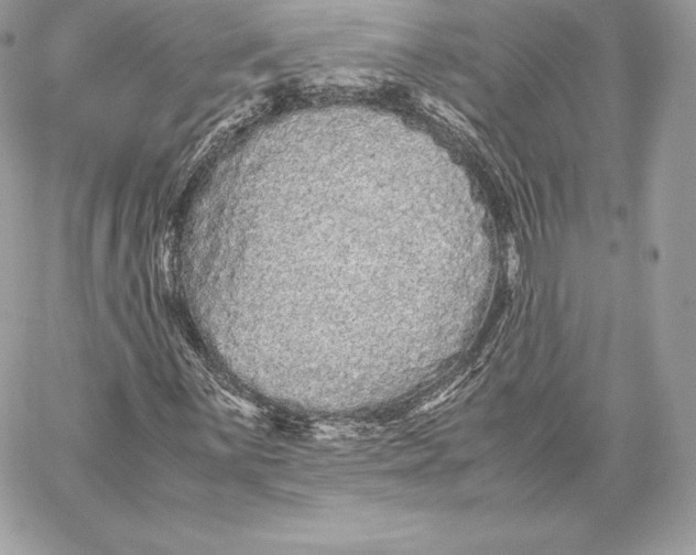 X0000059801059200511111555