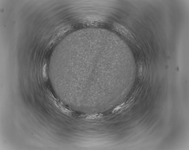 X0000059801060200511111555