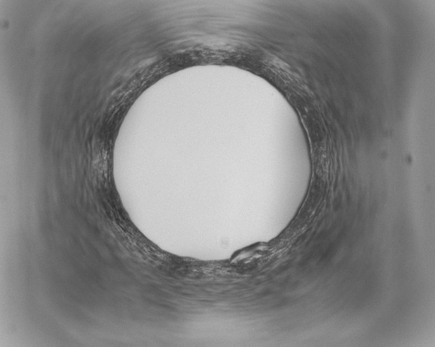 X0000059801061200511111555