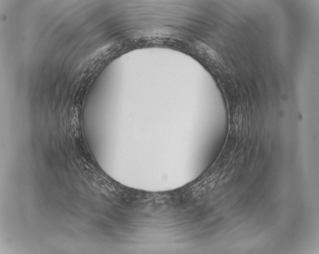 X0000059801062200511111555