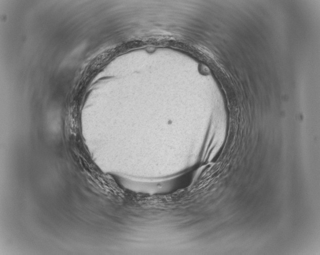 X0000059801063200511111555