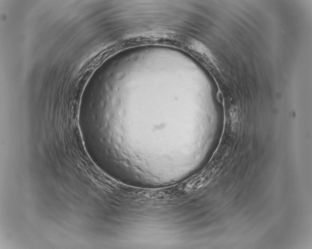 X0000059801064200511111555