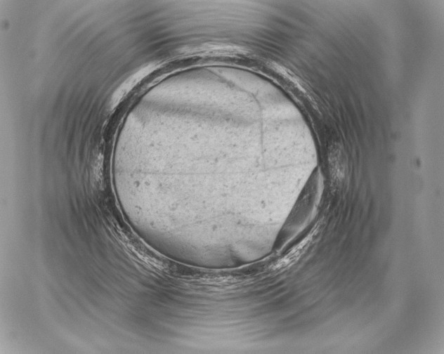 X0000059801066200511111555