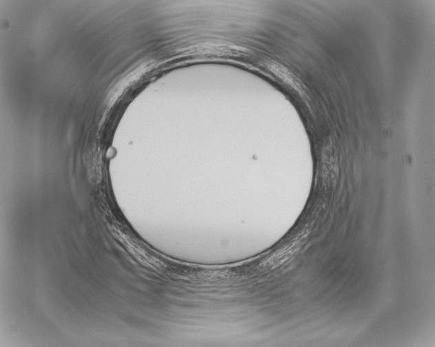 X0000059801067200511111555