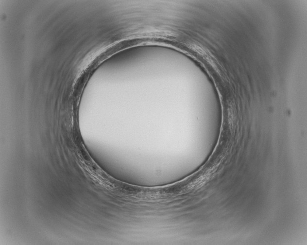 X0000059801069200511111555