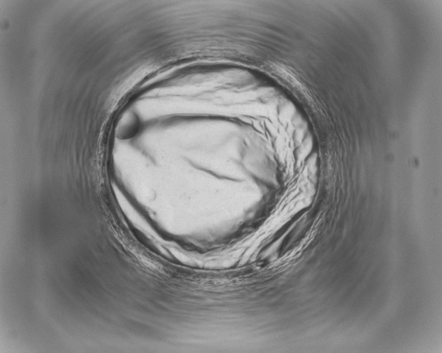 X0000059801071200511111555