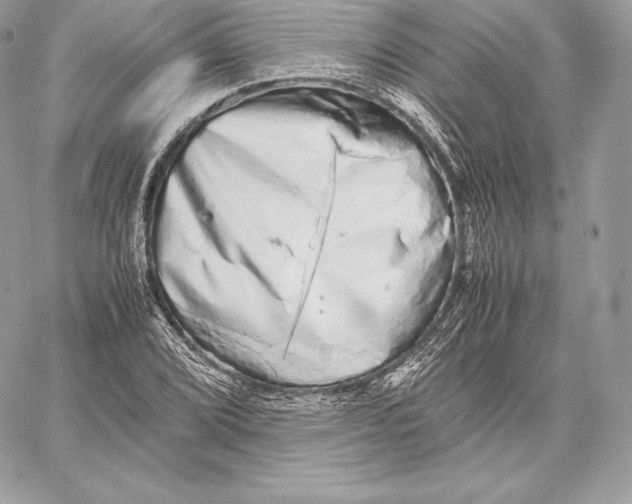 X0000059801072200511111555