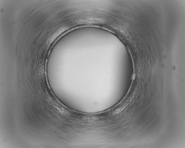 X0000059801073200511111555