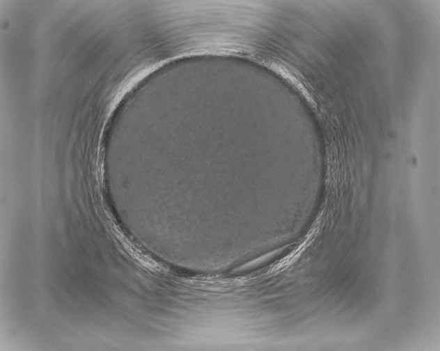 X0000059801077200511111555