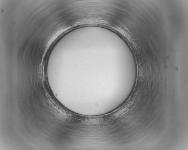 X0000059801078200511111555