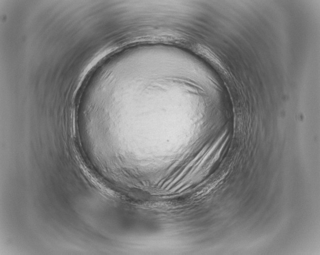 X0000059801079200511111555