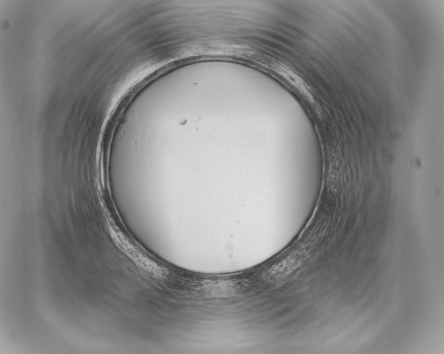 X0000059801080200511111555