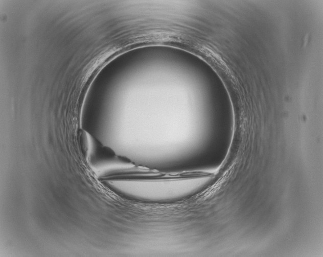 X0000059801081200511111555