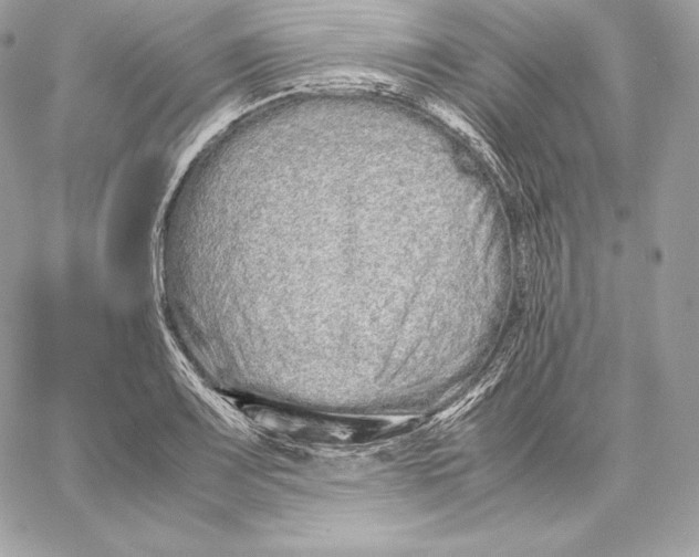 X0000059801083200511111555