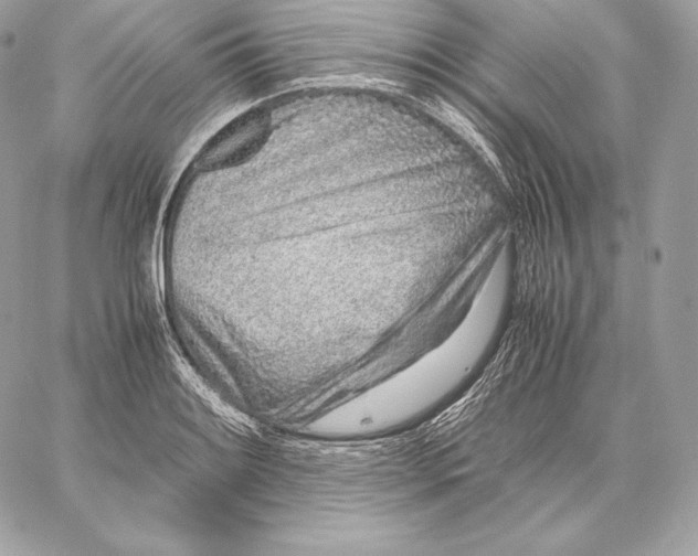 X0000059801084200511111555