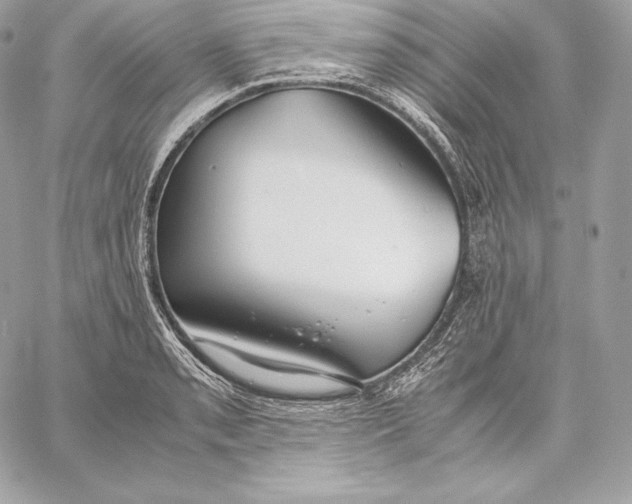 X0000059801085200511111555