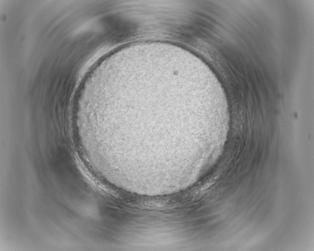 X0000059801086200511111555