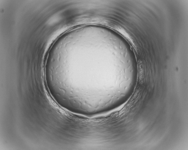 X0000059801088200511111555