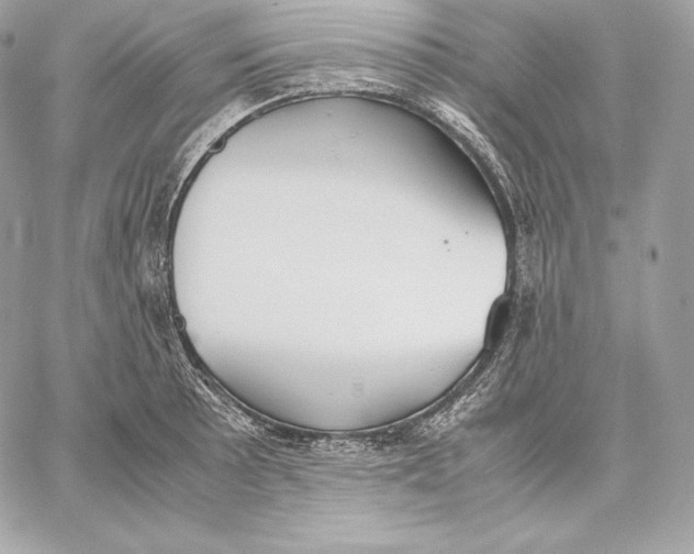 X0000059801089200511111555