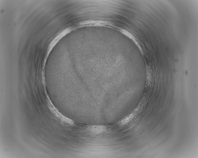 X0000059801090200511111555