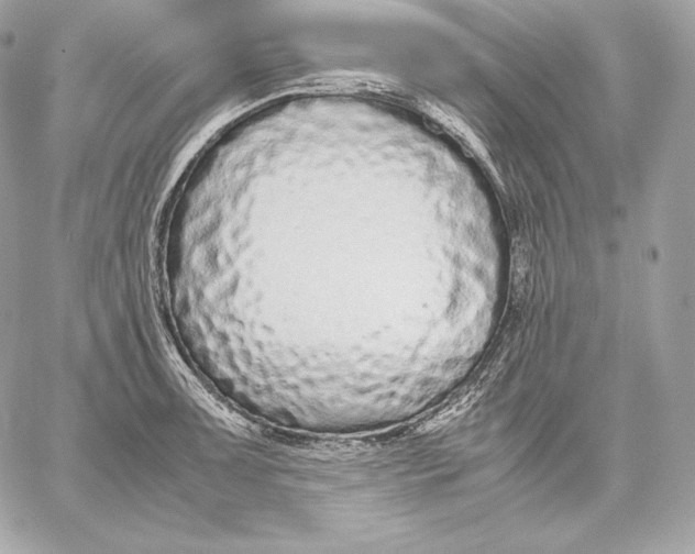 X0000059801091200511111555