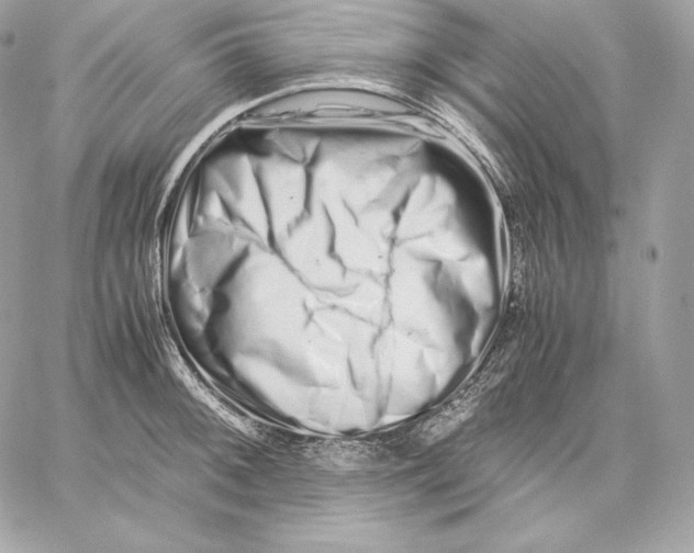 X0000059801092200511111555